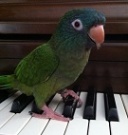 buddingtwigs's Avatar