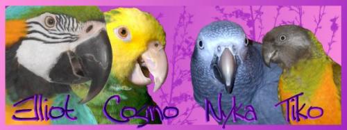 <a href=http://smg.photobucket.com/user/Dakin_Corbin/media/MT3B_zps619f8d39.png.html target=_blank><a href=http://img.photobucket.com/albums/v503/Dakin_Corbin/MT3B_zps619f8d39.png target=_blank>http://img.photobucket.com/albums/v5...ps619f8d39.png</a></a>