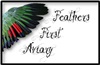 Feathers First Aviary's Avatar