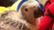 Mandi's Avatar
