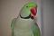 2birds's Avatar