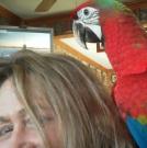 ALEXA_KIRSCH's Avatar