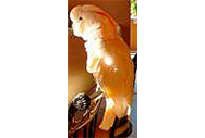 PeachyDoll's Avatar